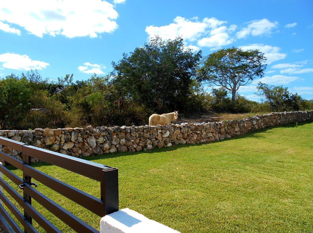 Casas Luna Y Sol - Casa Sol วัลลาโดลิด ภายนอก รูปภาพ