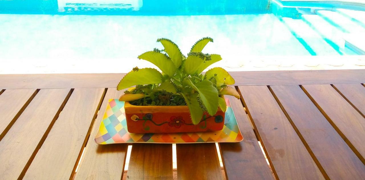 Casas Luna Y Sol - Casa Sol วัลลาโดลิด ภายนอก รูปภาพ